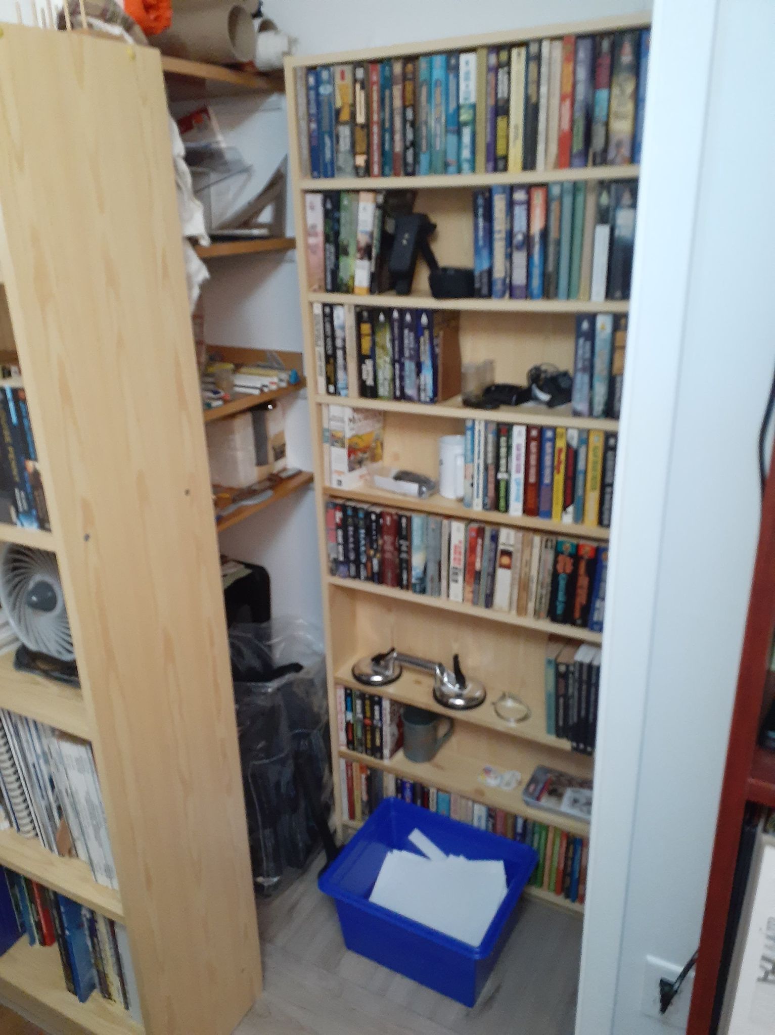Image of closet bookcase.
